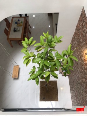 Nhà phố 2,5 tầng chi phí thi công 1,25 tỷ - EN