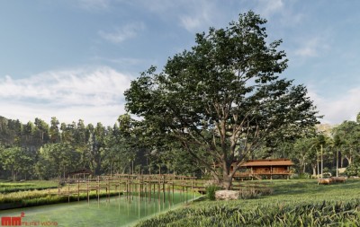 FARMSTAY được ví von như một cô gái đẹp