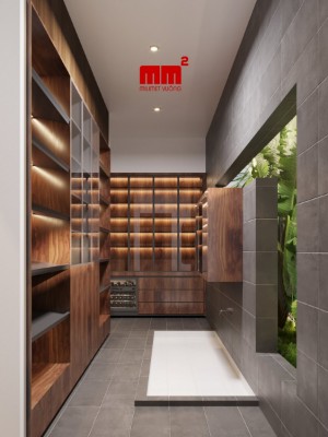 2 Storey modern Town Villa design