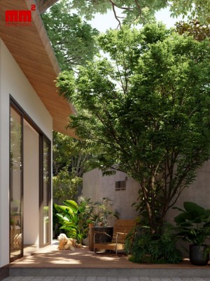 Xuân house - Nhà phố đẹp như biệt thự chi phí xây dựng chưa đến 1 tỷ